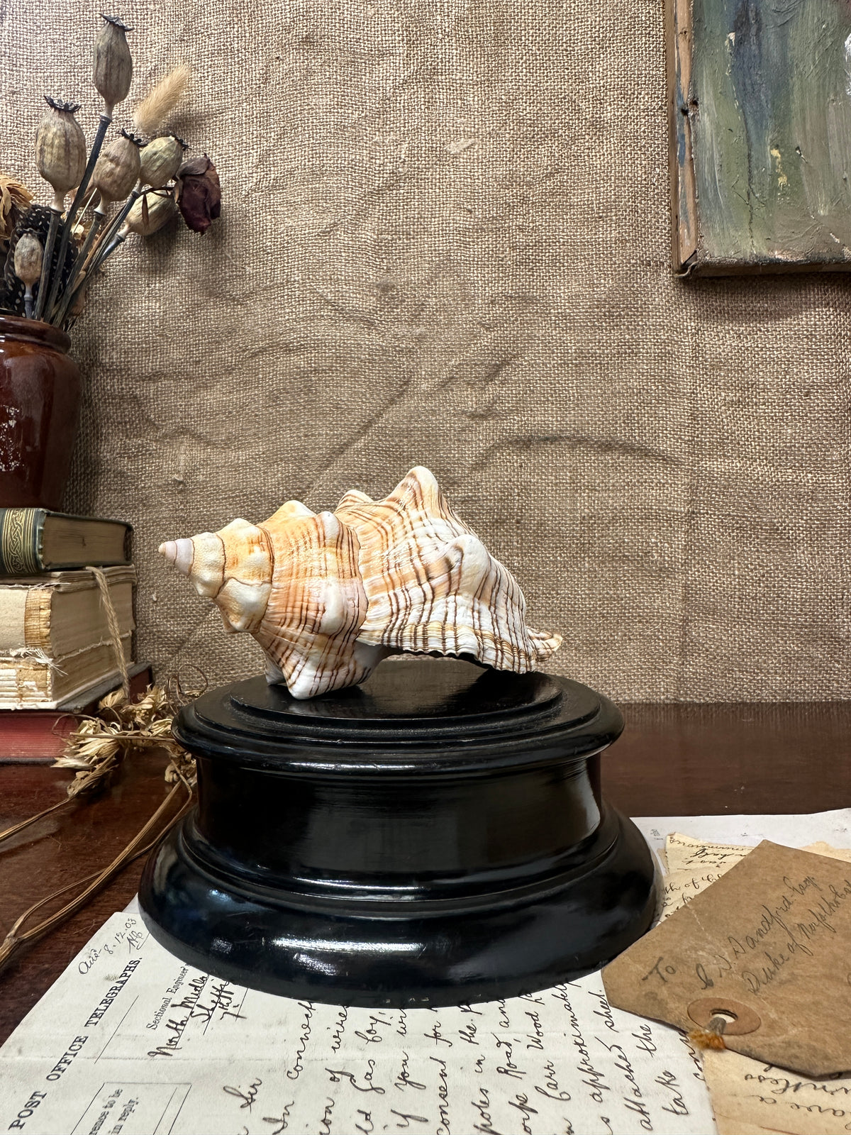 Antique Wooden Display Stand Plinth/Pedestal