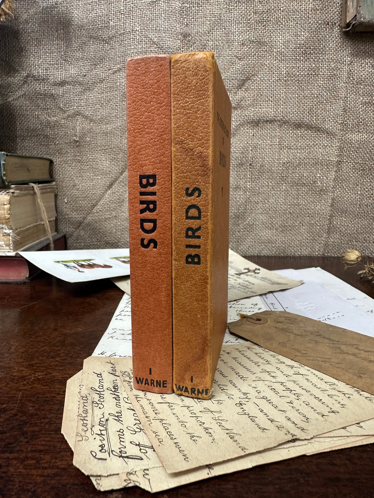 Observer’s book of Birds The Blind Mole