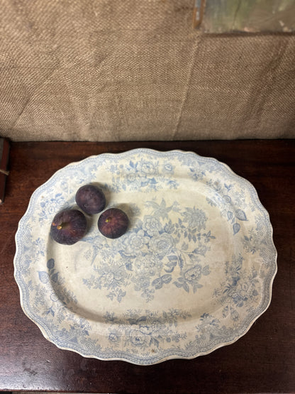 Wedgwood Victorian Platter Asiatic Pheasant Large