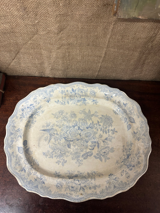 Wedgwood Victorian Platter Asiatic Pheasant Large