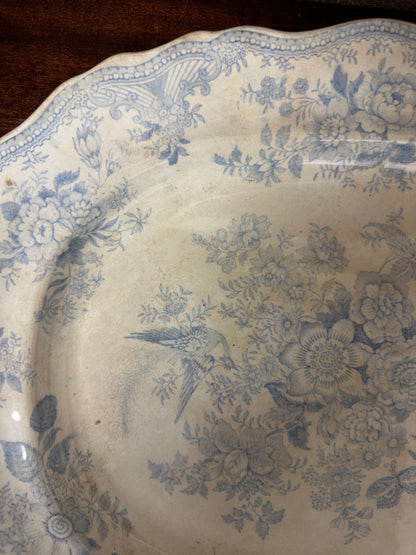 Wedgwood Victorian Platter Asiatic Pheasant Large