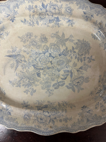 Wedgwood Victorian Platter Asiatic Pheasant Large