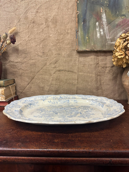 Wedgwood Victorian Platter Asiatic Pheasant Large