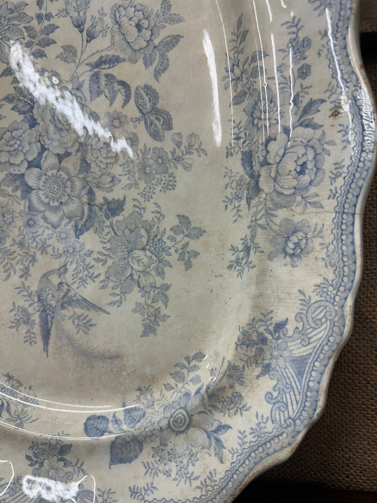 Wedgwood Victorian Platter Asiatic Pheasant Large