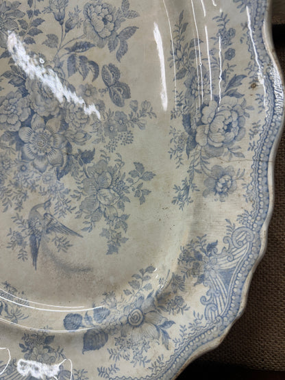 Wedgwood Victorian Platter Asiatic Pheasant Large