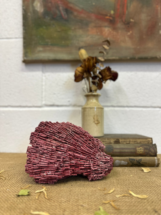 Antique Red Sea Coral Specimen