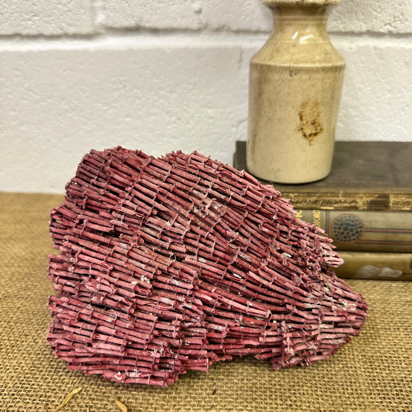 Antique Red Sea Coral Specimen