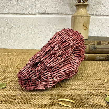 Antique Red Sea Coral Specimen