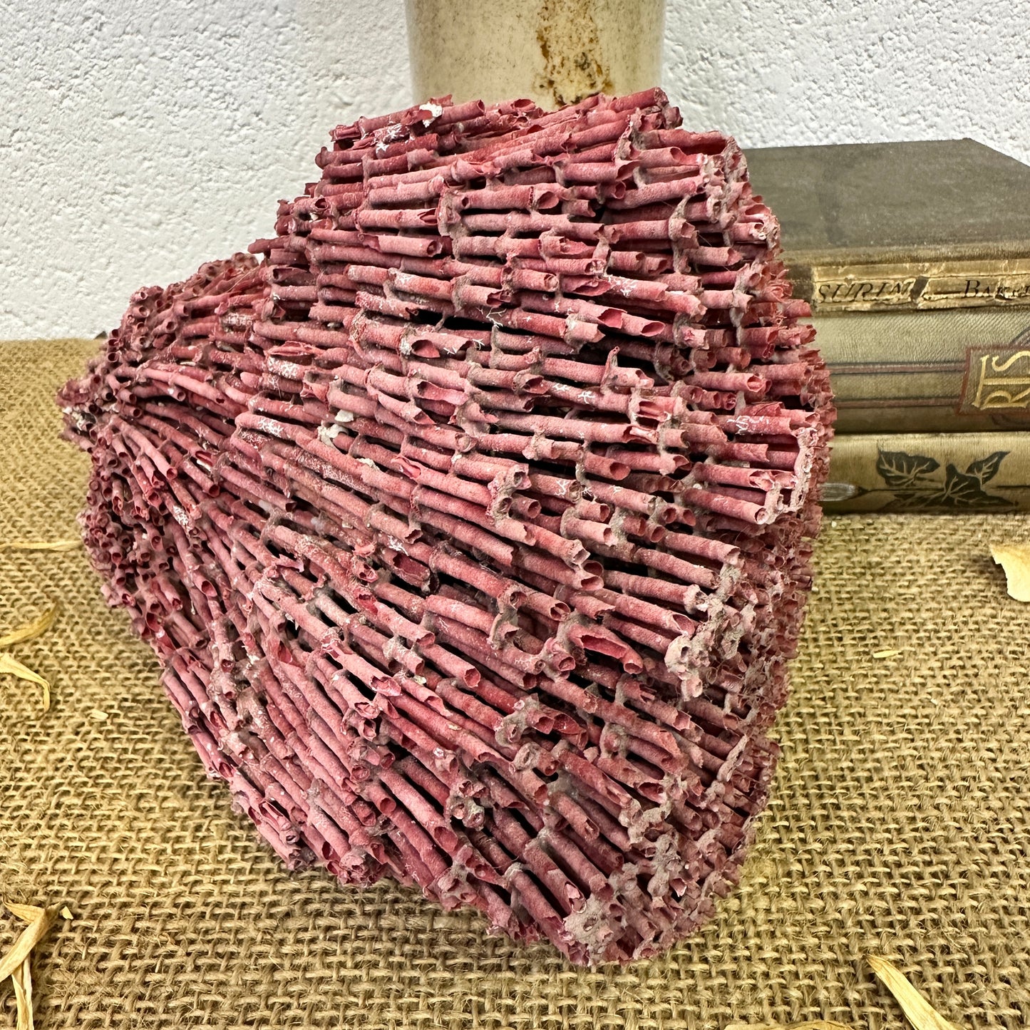 Antique Red Sea Coral Specimen