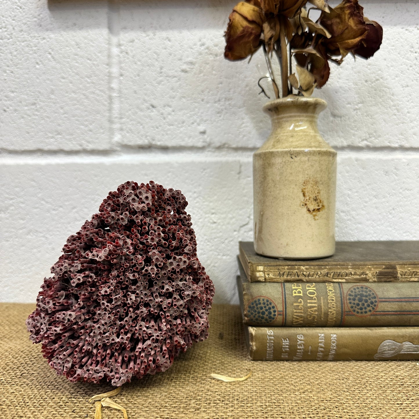 Antique Red Sea Coral Specimen
