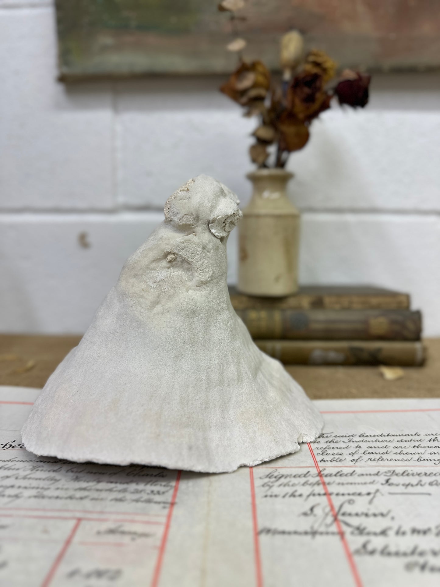 Antique Elephant Ear Mushroom Sea Coral Specimen