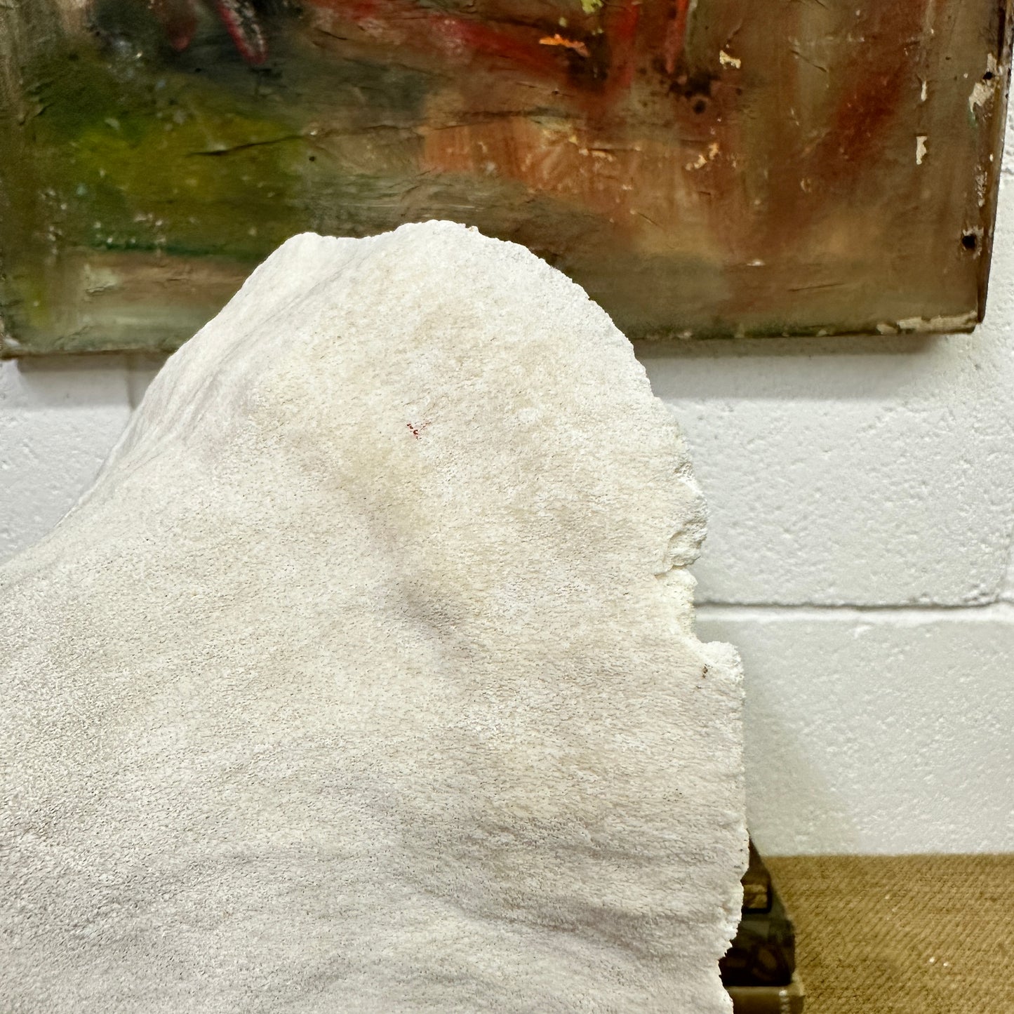 Antique Elephant Ear Mushroom Sea Coral Specimen