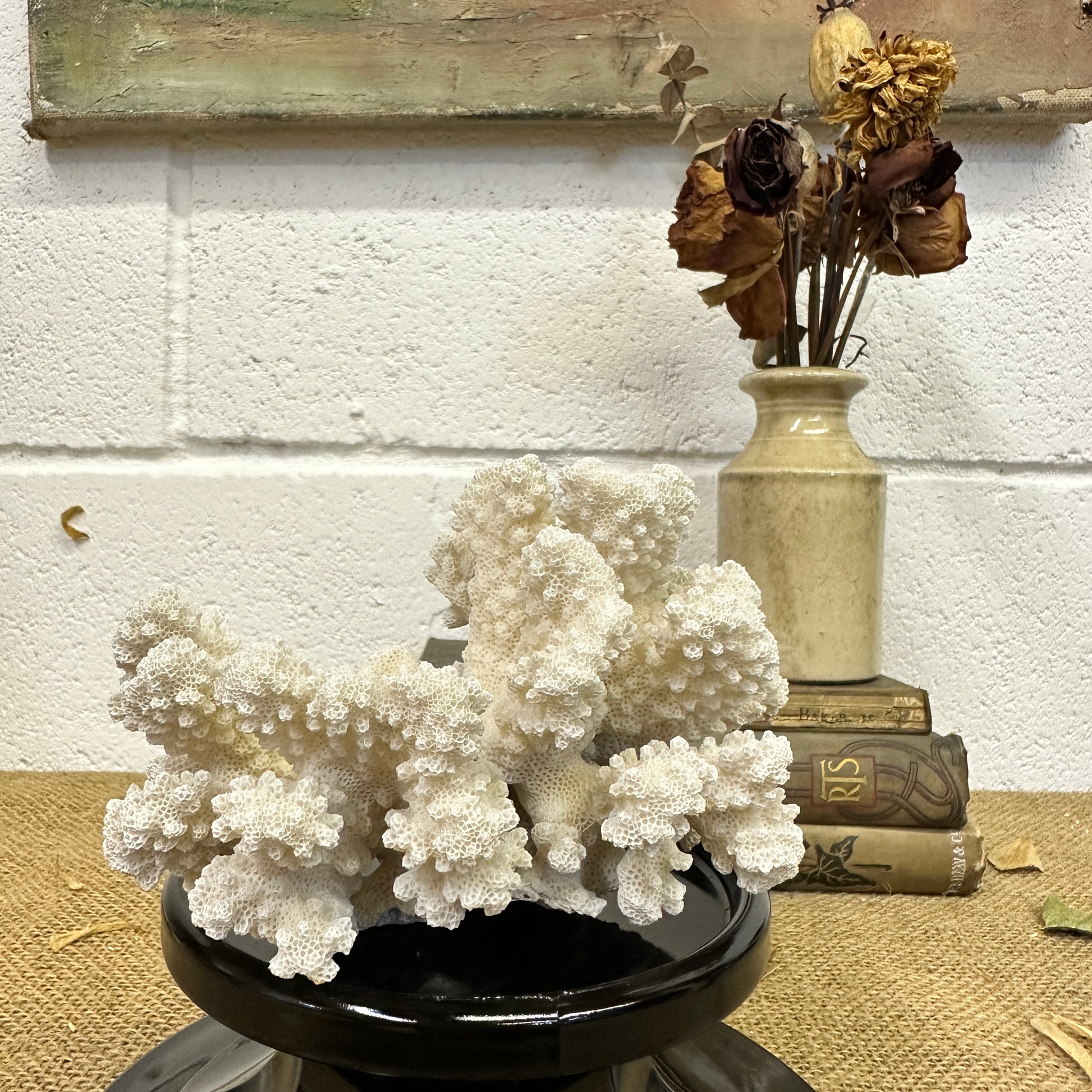 Antique Sea Coral Specimen - The Blind Mole