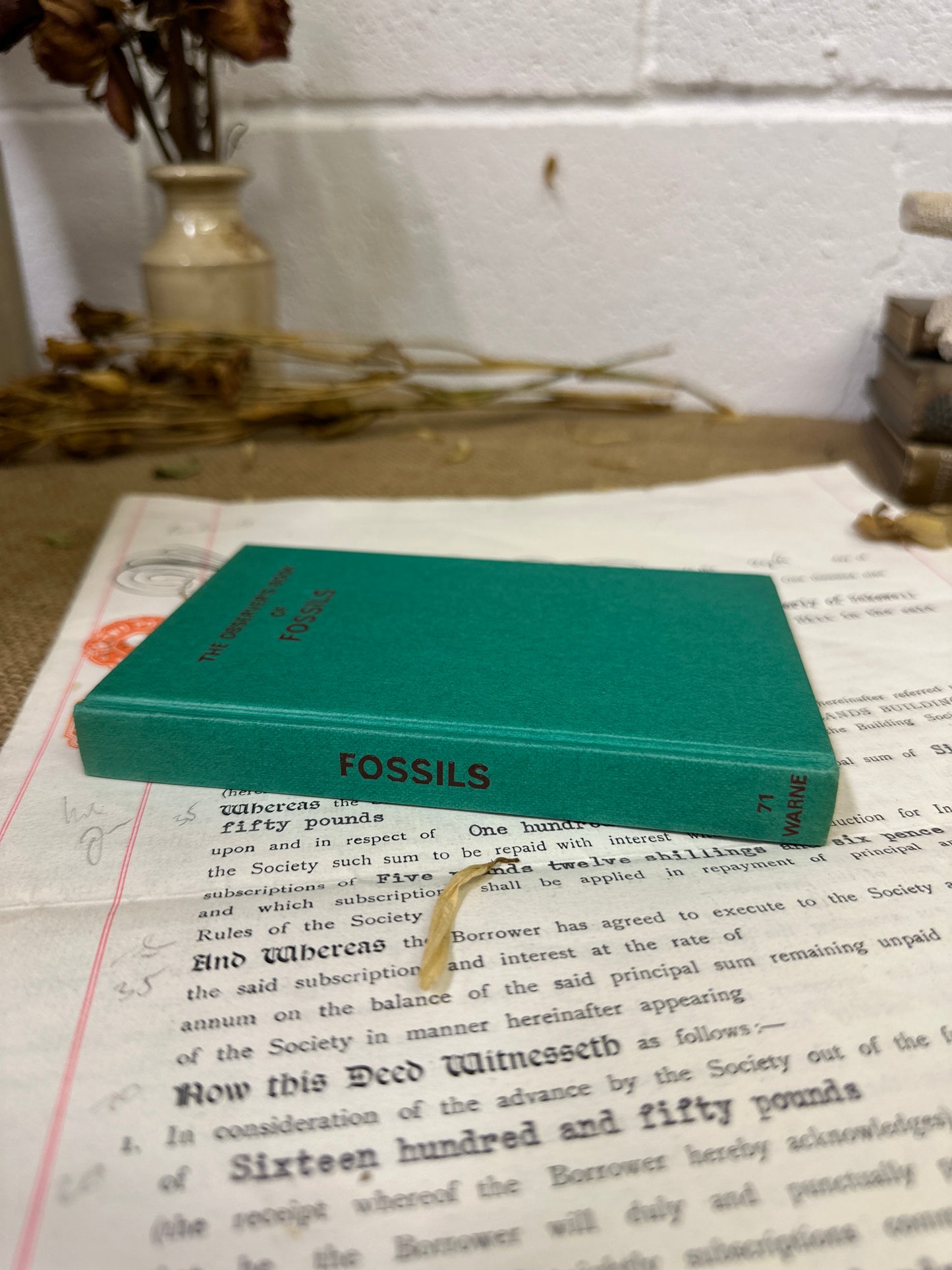 The observer’s book Fossils - Tile Top to Bottom - The Blind Mole