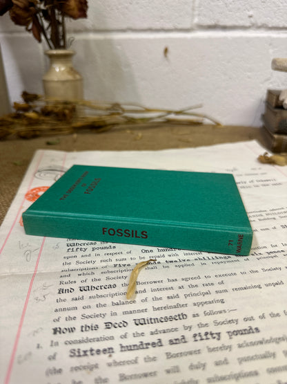 The observer’s book Fossils - Tile Top to Bottom - The Blind Mole