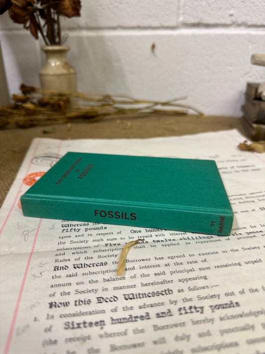 The observer’s book Fossils - Tile Top to Bottom - The Blind Mole