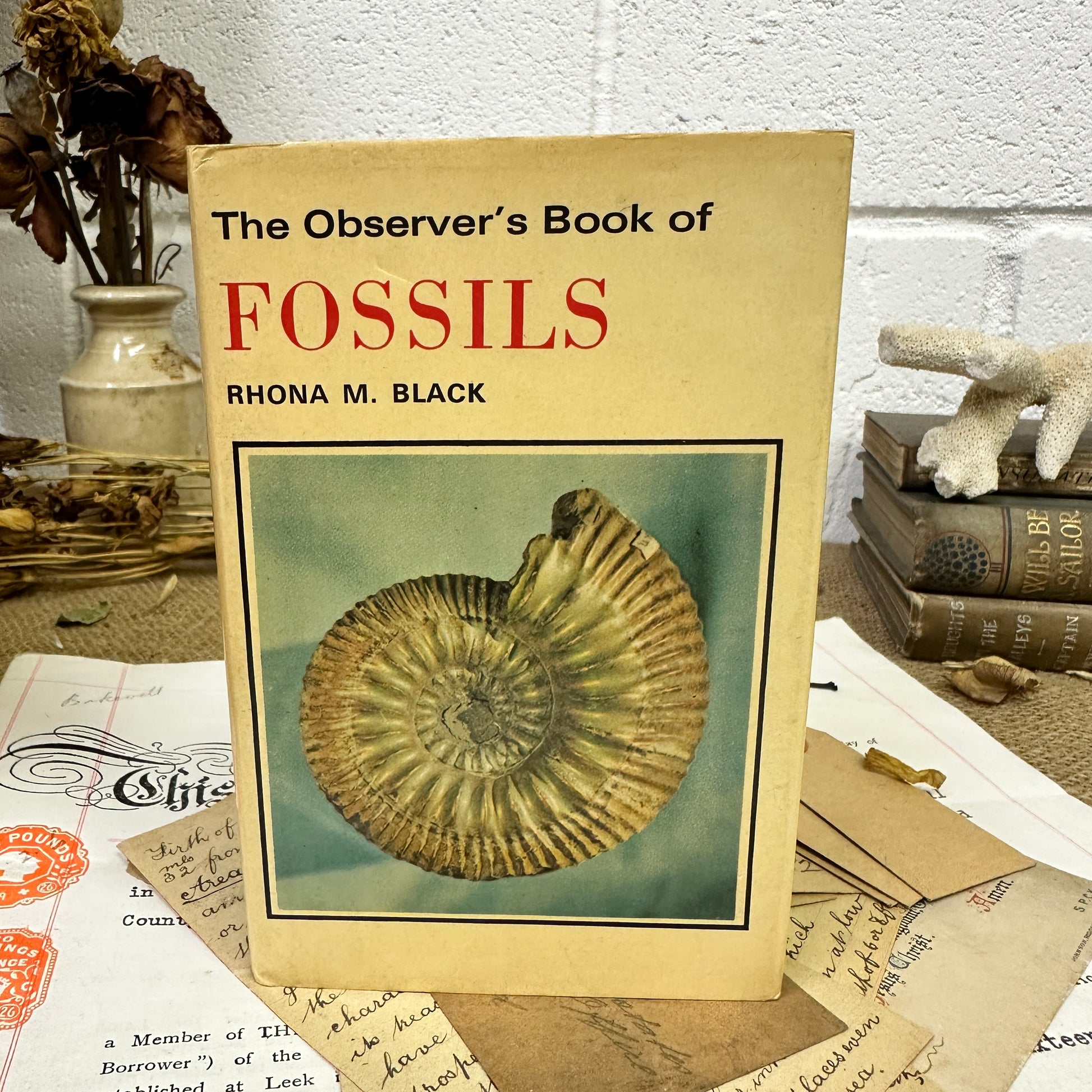 The observer’s book Fossils - Tile Top to Bottom - The Blind Mole
