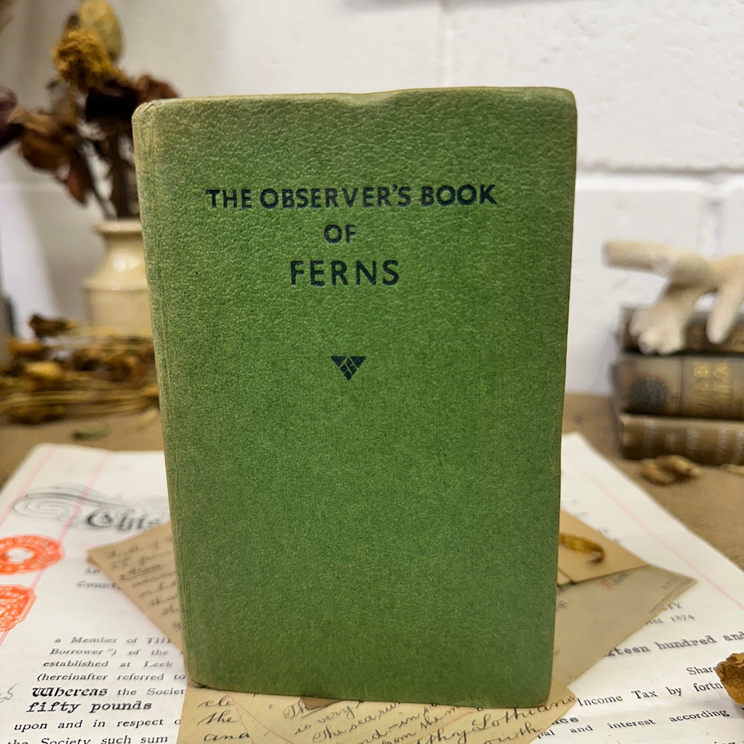 The observer’s book Ferns - Tile Bottom to Top - The Blind Mole