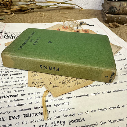 The observer’s book Ferns - Tile Bottom to Top - The Blind Mole