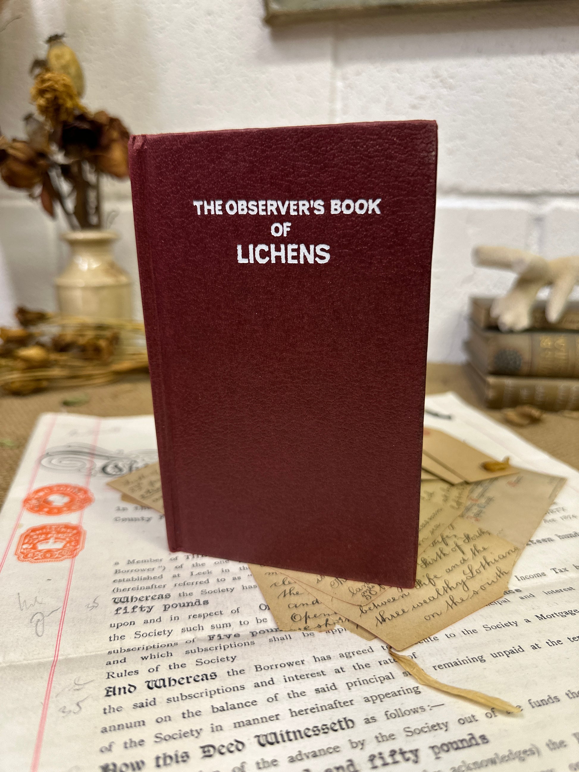 The observer’s book Lichens - Tile Top to Bottom - The Blind Mole