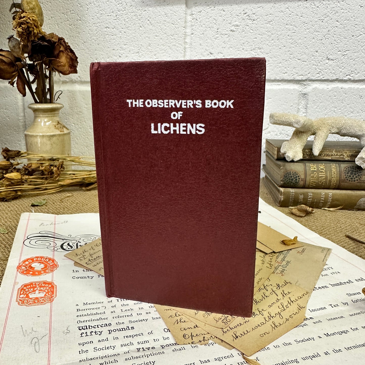 The observer’s book Lichens - Tile Top to Bottom - The Blind Mole