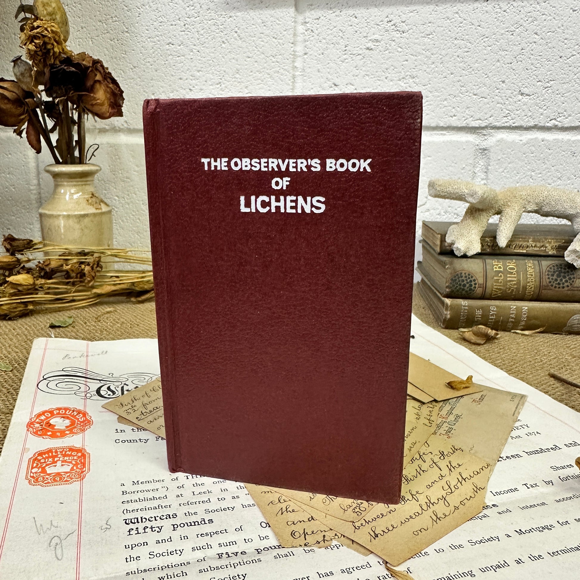 The observer’s book Lichens - Tile Top to Bottom - The Blind Mole