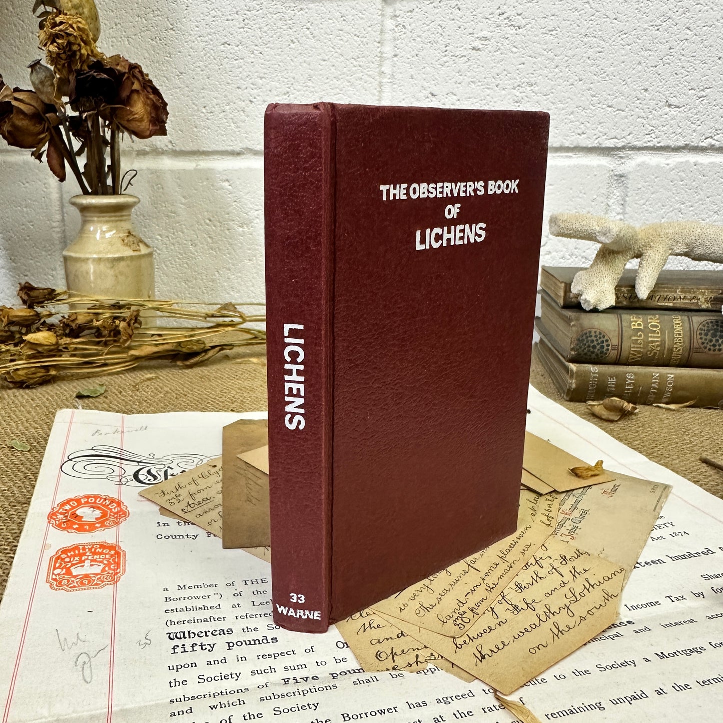 The observer’s book Lichens - Tile Top to Bottom - The Blind Mole