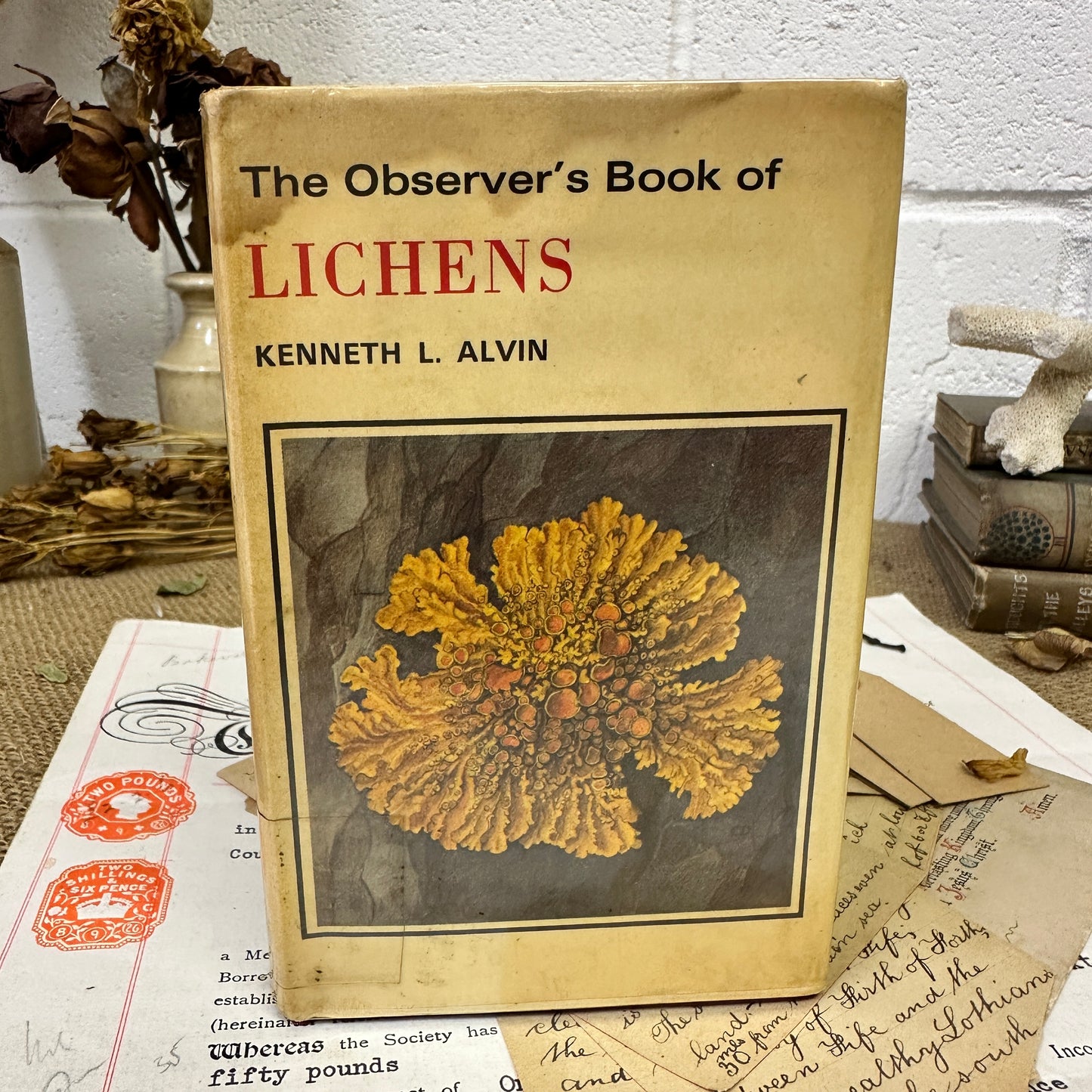The observer’s book Lichens - Tile Top to Bottom - The Blind Mole