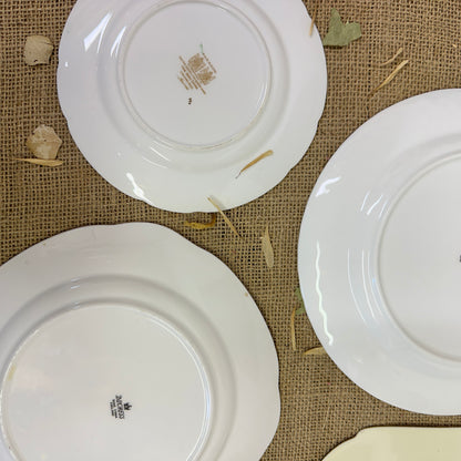 Set of Antique Wall Plates Green