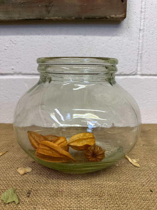 Vintage Glass Sweet Jar Terrarium
