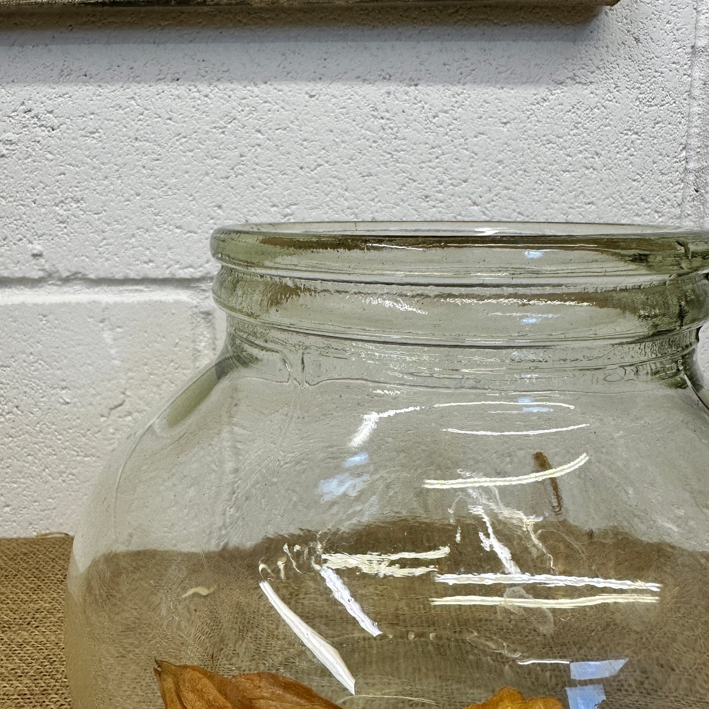 Vintage Glass Sweet Jar Terrarium