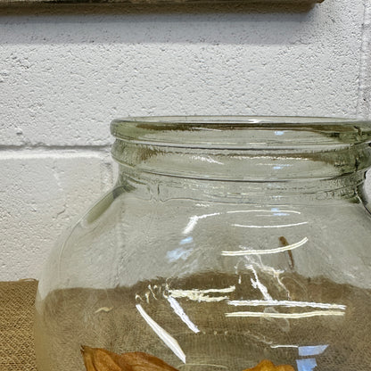 Vintage Glass Sweet Jar Terrarium