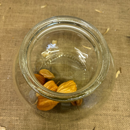 Vintage Glass Sweet Jar Terrarium