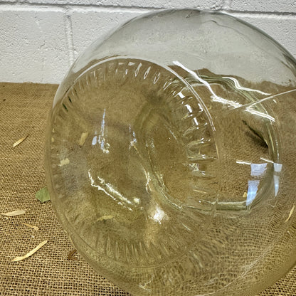 Vintage Glass Sweet Jar Terrarium