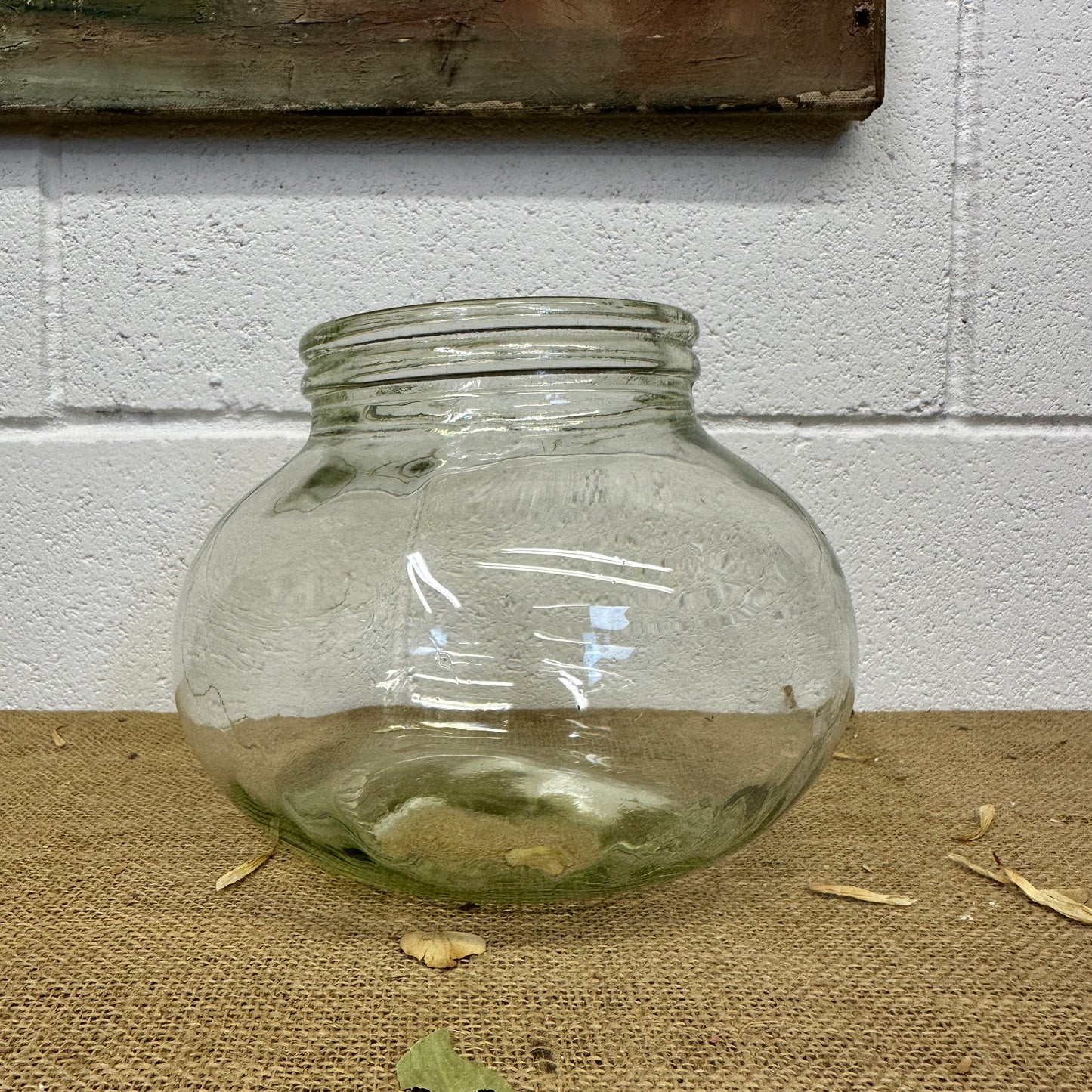 Vintage Glass Sweet Jar Terrarium