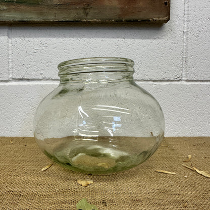 Vintage Glass Sweet Jar Terrarium