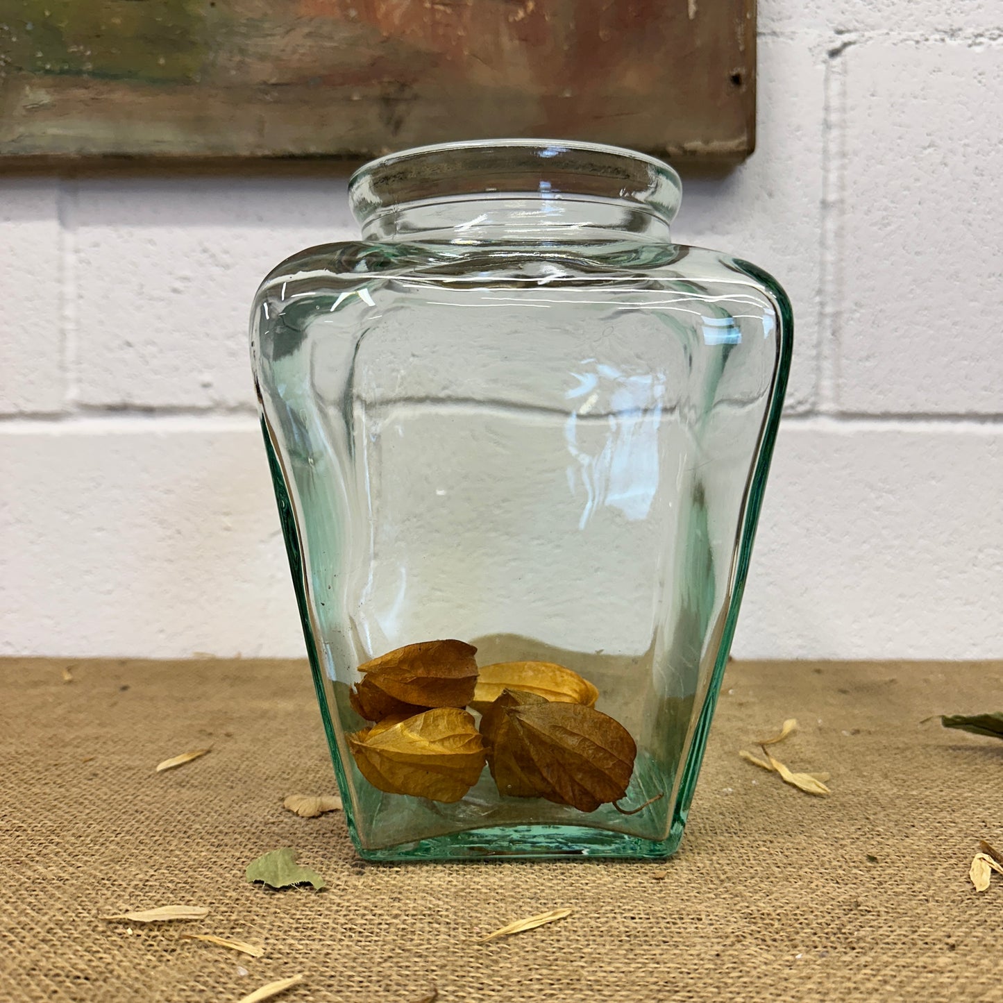Square Glass Sweet Jar Terrarium