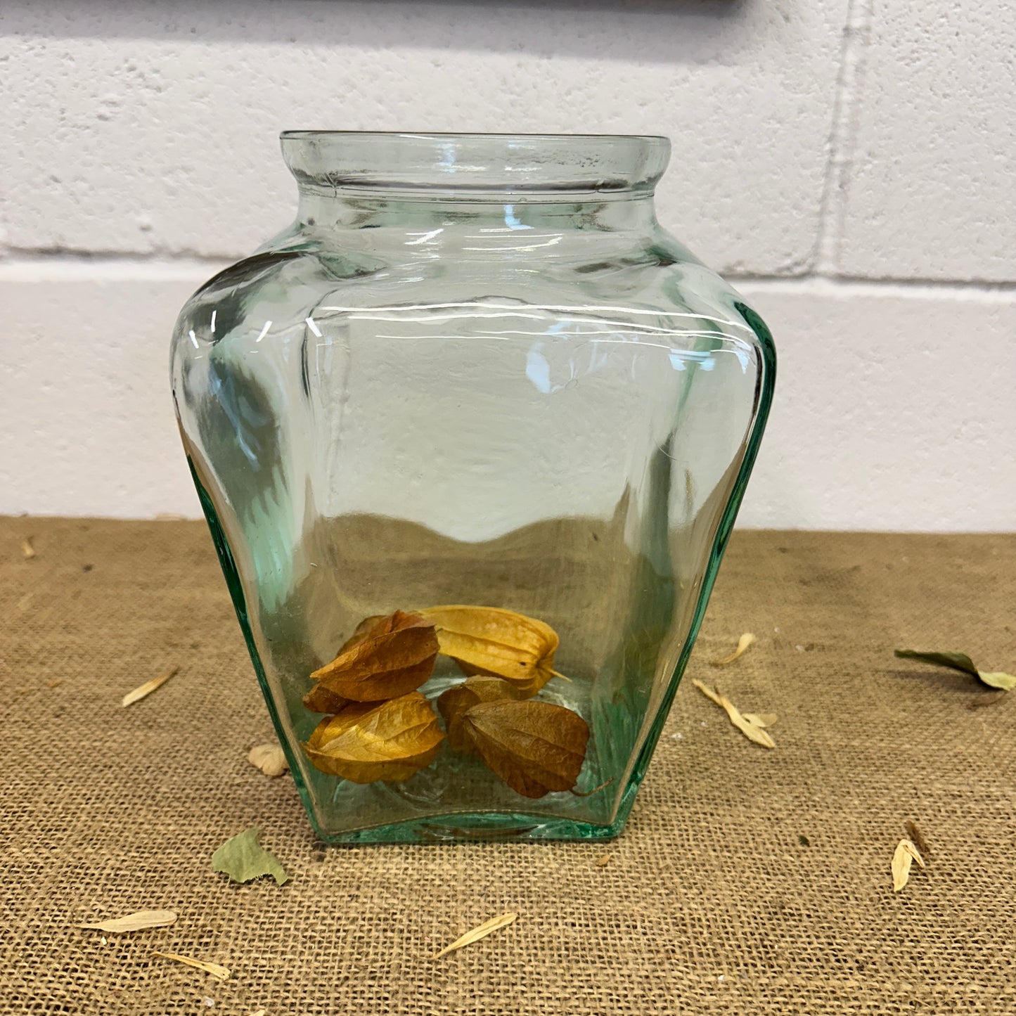 Square Glass Sweet Jar Terrarium