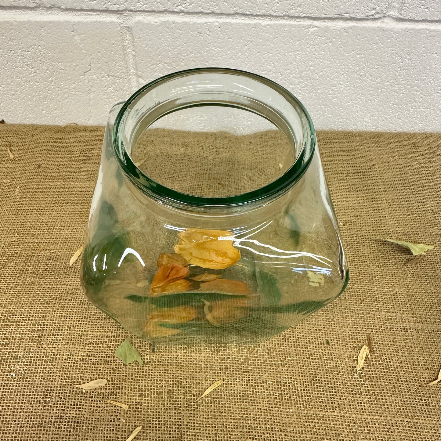 Square Glass Sweet Jar Terrarium