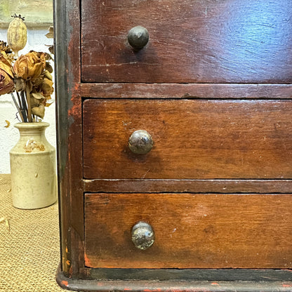 Apprentice Chest of Drawers, Specimen Jewellery Chest