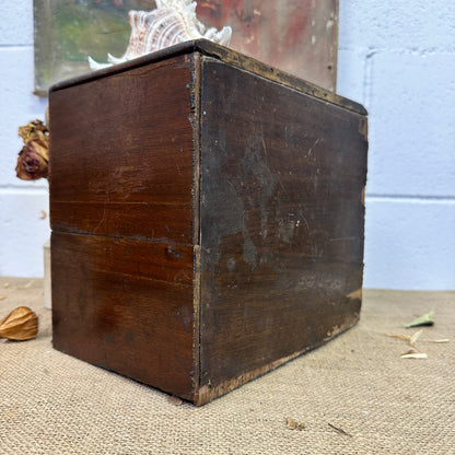 Apprentice Chest of Drawers, Specimen Jewellery Chest