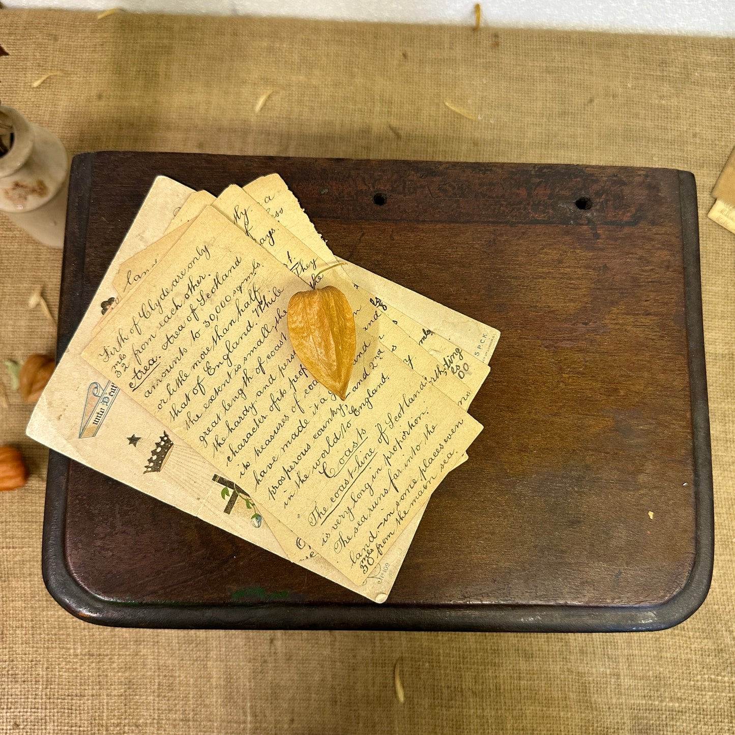 Apprentice Chest of Drawers, Specimen Jewellery Chest