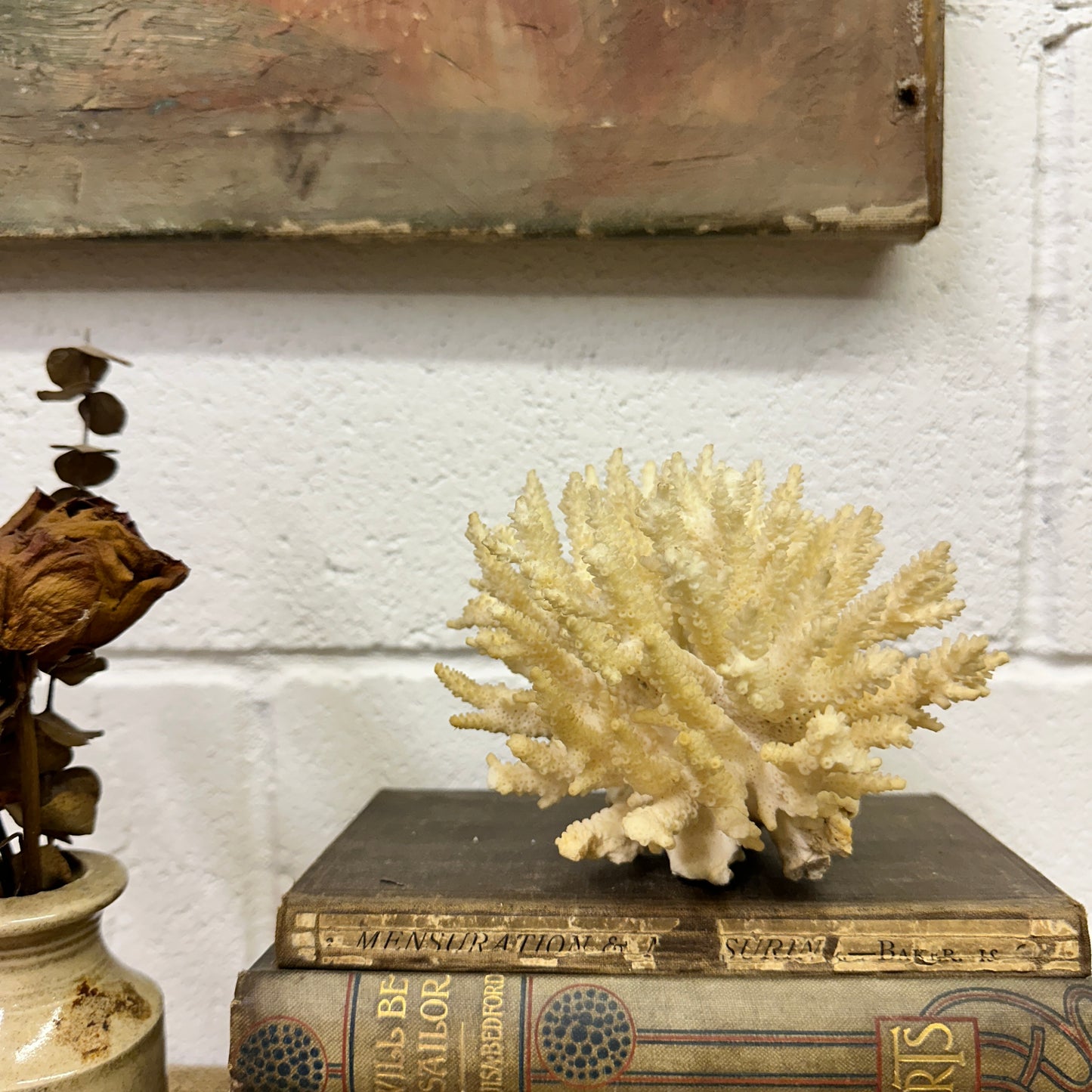 Antique Coral Specimen