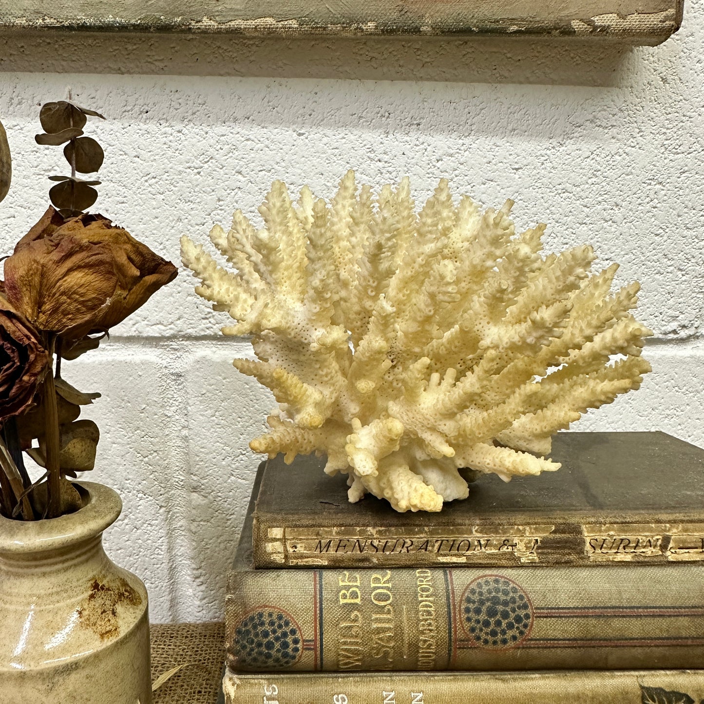 Antique Coral Specimen