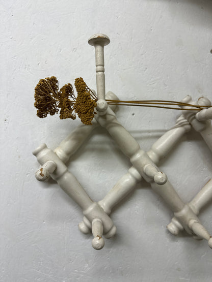 Antique French Accordion Coat Hooks