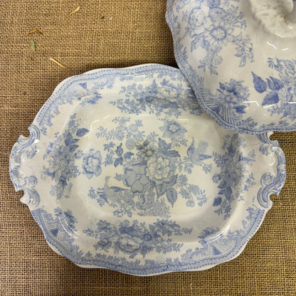 Wedgwood Victorian Tureen Asiatic Pheasant