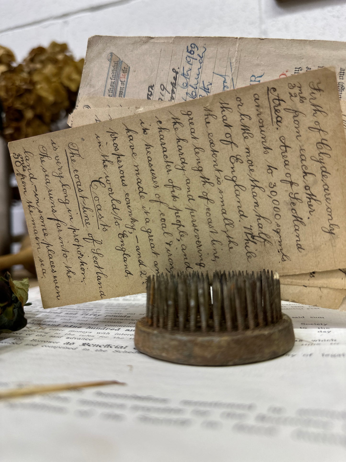 Vintage Flower Frog Picture Card Stand