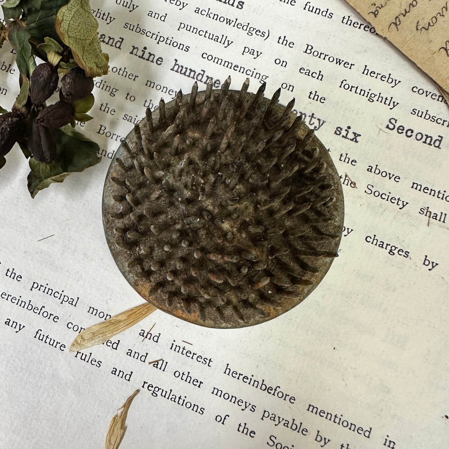 Vintage Flower Frog Picture Card Stand