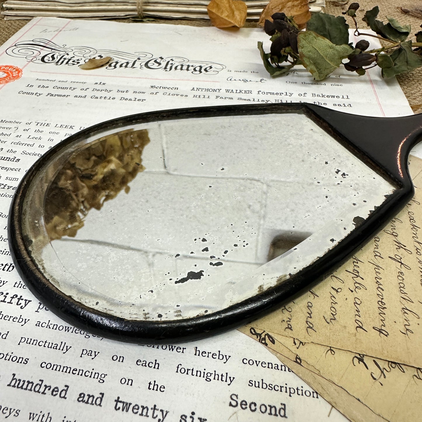 Antique Ebony Handheld Mirror Paddle