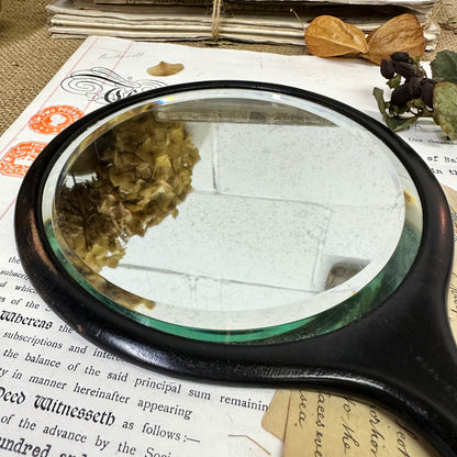 Antique Ebony Handheld Mirror Larger